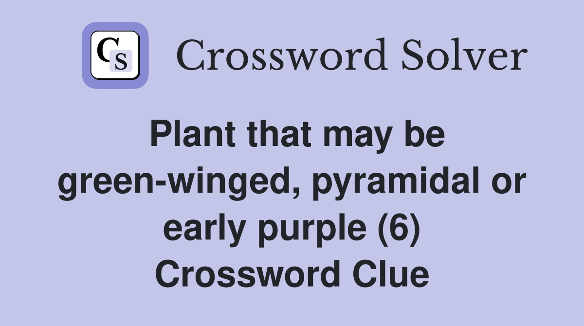 Plant that may be green winged pyramidal or early purple (6